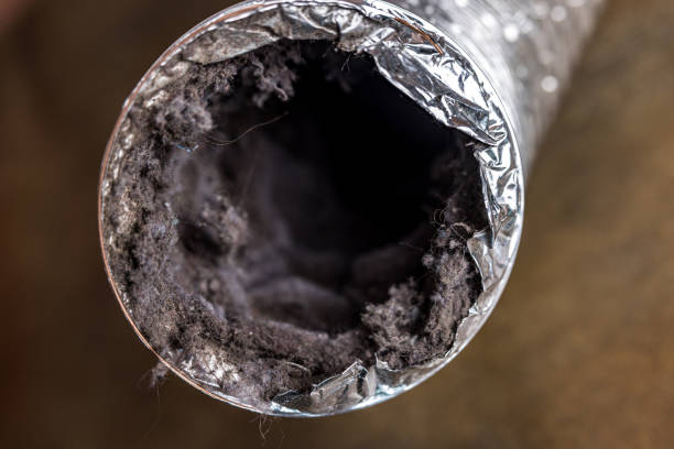 Best Duct Cleaning for Offices  in Stanford, KY